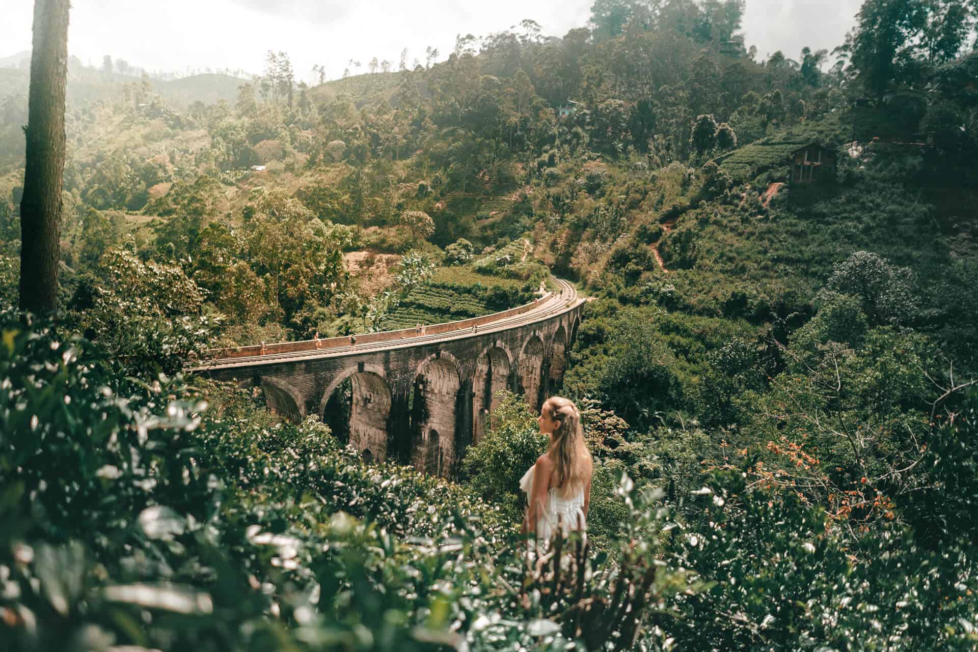 Sinharaja Rain Forest